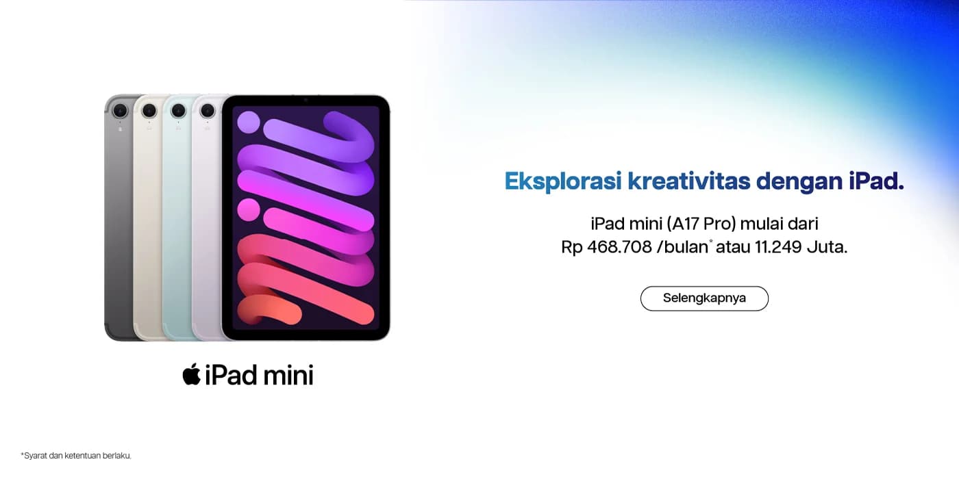 iBox iPad Mini