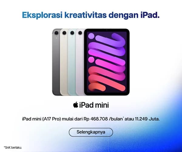 iBox iPad Mini